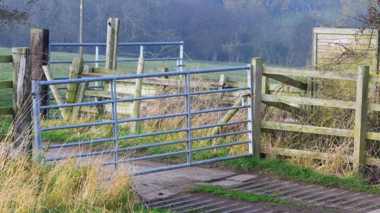 Farmer caused death of 140 animals, banned from future ownership