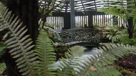 Masterton Fernery closed after repeated incidents of public defecation