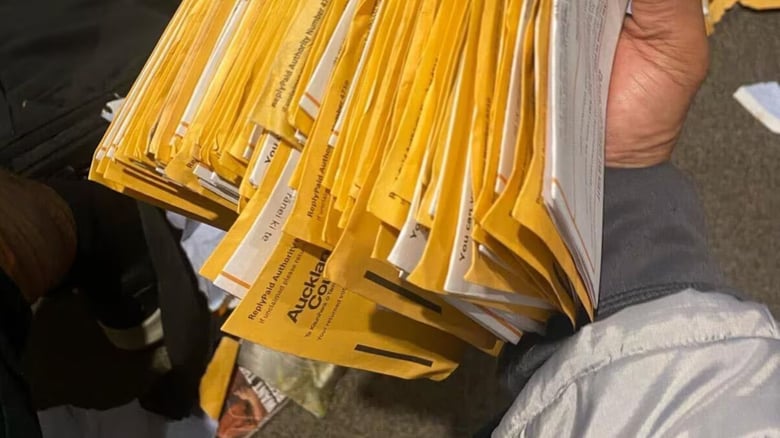 Auckland councillor condemns Manurewa electoral fraud claims
