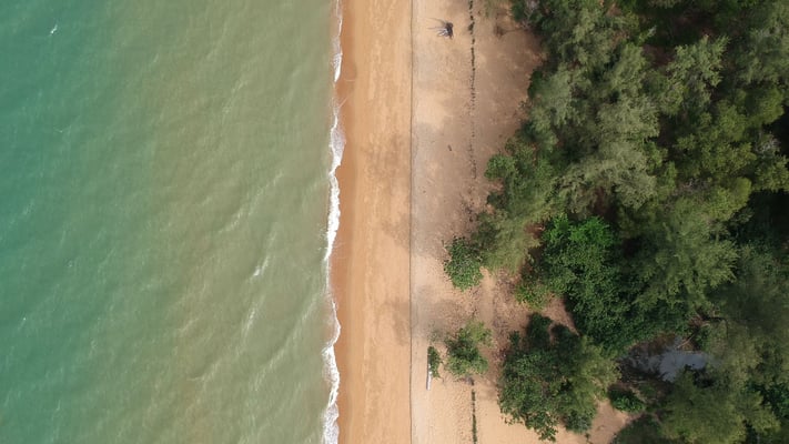 Swimming still unsafe at parts of Wellington’s south coast, tests show