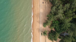 Swimming still unsafe at parts of Wellington’s south coast, tests show