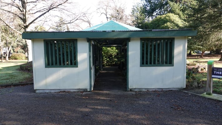 Mystery defecator leaves 'revolting' surprise in Masterton's Queen Elizabeth park fernery