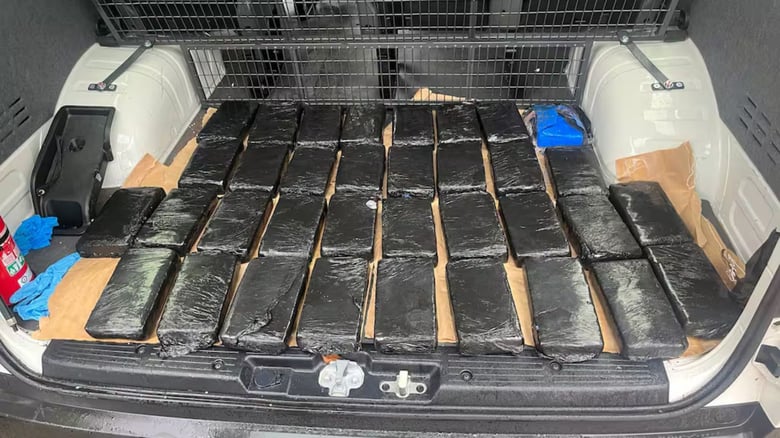 $40m&nbsp;cocaine&nbsp;haul, guns found in&nbsp;South Auckland