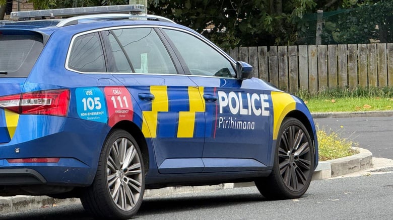 Teen arrested after chaotic&nbsp;Auckland&nbsp;house party leaves four people in hospital