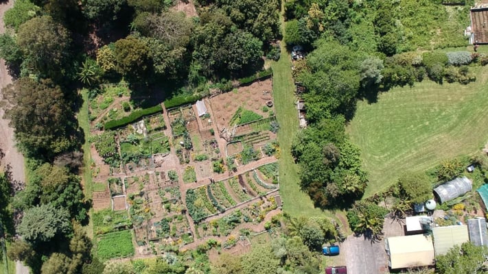 Auckland community garden ordered to vacate after 15 years