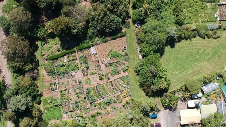 Auckland community garden ordered to vacate after 15 years