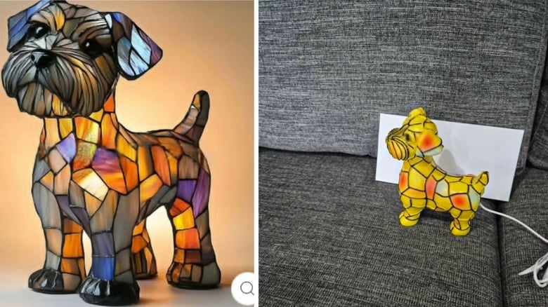 Fake boutique exploits 'Kiwi-Made' trust, shoppers say