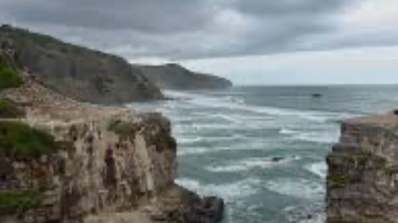 Person dies after falling into sea at&nbsp;Auckland’s Muriwai Beach