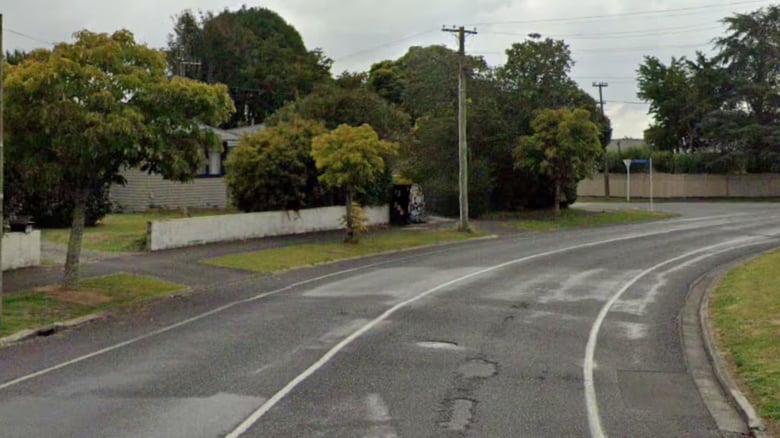 Person Shot With Air Gun At Hamilton Bus Stop, Police Search For Orange Car