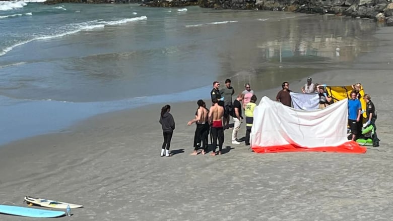 Person dies after being pulled from water at St Clair Beach in Dunedin