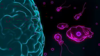 Kerala on Alert as Brain-Eating Amoeba Claims 19 Lives