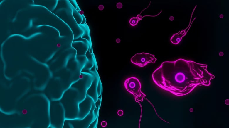 Kerala on Alert as Brain-Eating Amoeba Claims 19 Lives