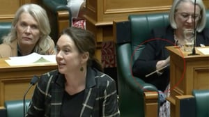 MP defends knitting in Parliament, says it helps her concentrate