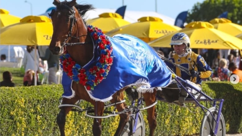 Excited For New Zealand Trotting Cup Day?