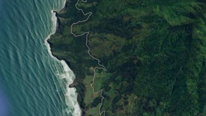 One arrested after Raglan shooting leaves person injured