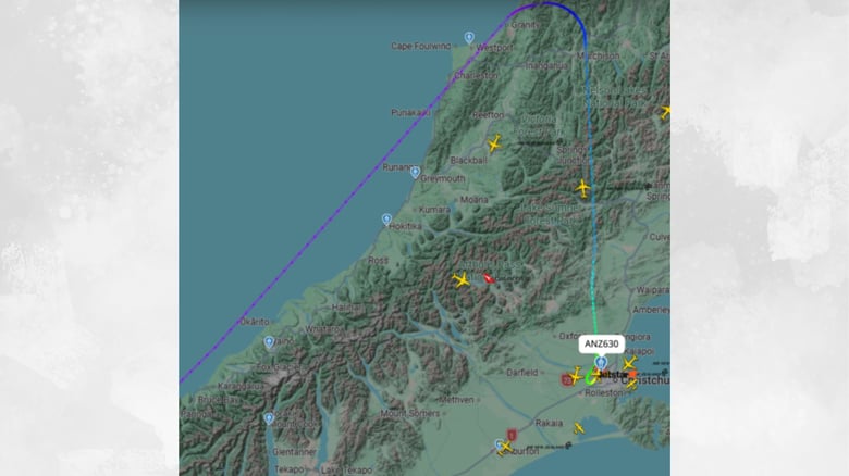Air New Zealand&nbsp;flight makes&nbsp;emergency&nbsp;diversion after smoke smell detected