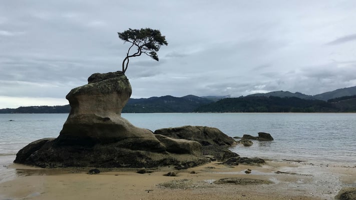 Summer set to close on a rainy note for much of NZ