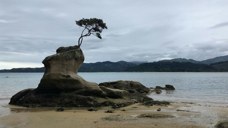 Summer set to close on a rainy note for much of NZ