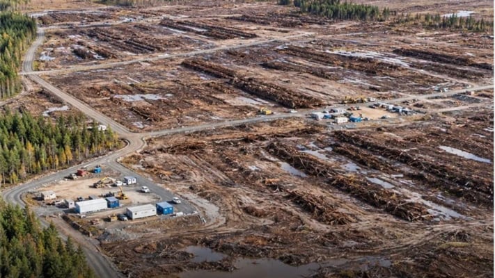 Google illegally cuts down 250,000 trees in Finland for data centre project