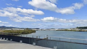 Whangārei&nbsp;woman jumps into river to avoid arrest