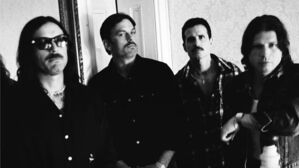 Kings of Leon announce Auckland show ahead of Christchurch festival appearance