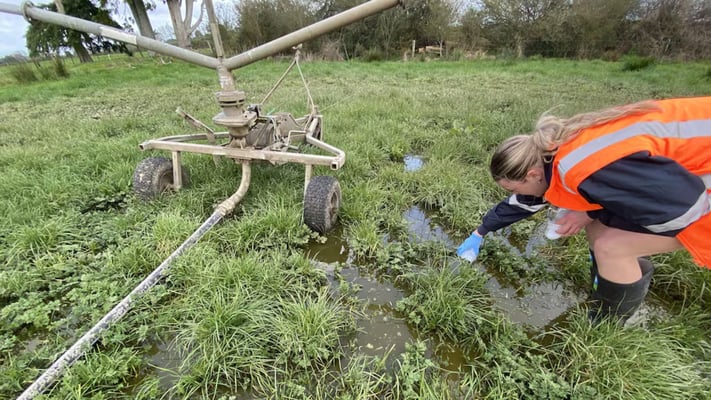Waikato&nbsp;farmer fined $97,500 over dairy effluent discharge