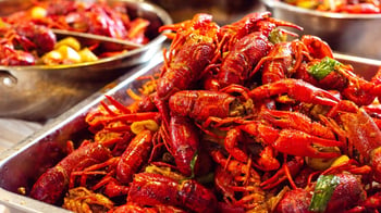 Queenstown helicopter company fined $12,000 over illegal crayfish tourism experience