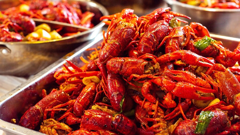 Queenstown helicopter company fined $12,000 over illegal crayfish tourism experience