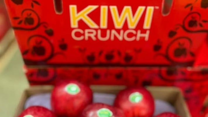 Kiwi Crunch collapse could leave creditors $20m short, liquidators warn
