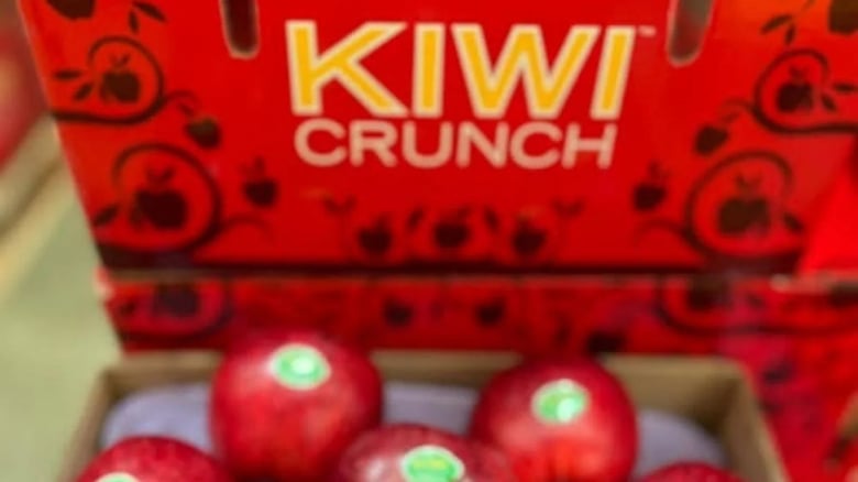 Kiwi Crunch Collapse Could Leave Creditors $20M Short, Liquidators Warn