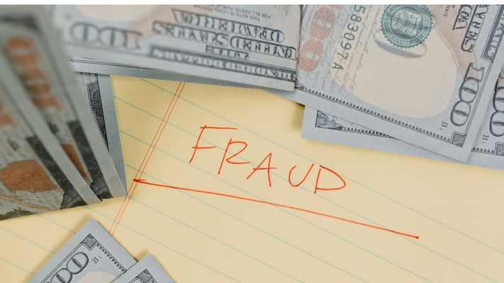 Lack of Scrutiny in Covid Schemes Led to Fraud Cases