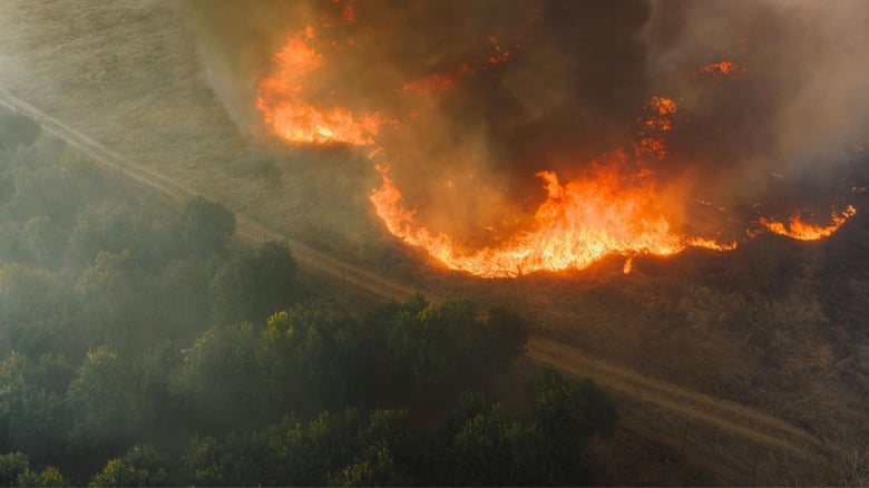 A major vegetation fire breaks out on&nbsp;Wallaceville Hill, roads closed