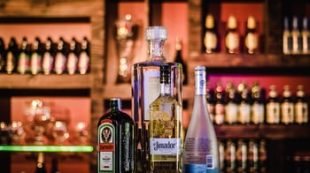 Auckland liquor stores caught selling alcohol to minors
