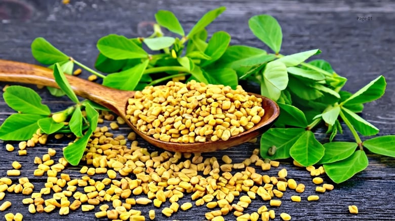 Health Benefits of Methi Seeds You Need to Know