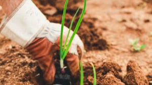 Precision Agriculture: The Future Of Farming