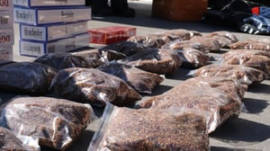 Five held after 1.38 million illegal cigarettes seized in raids
