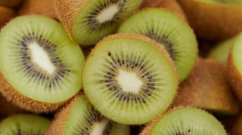 Nagaland to host India’s first kiwifruit Centre of Excellence