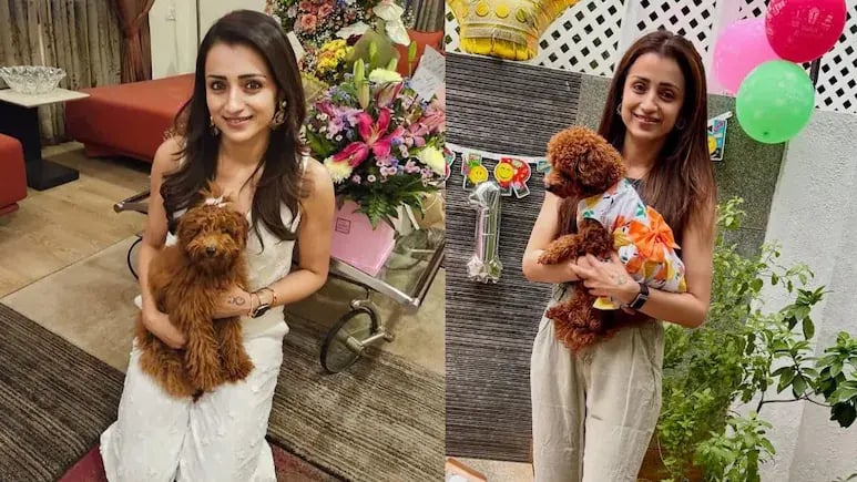 Inside Trisha Krishnan’s Rs 10 crore Chennai dream home