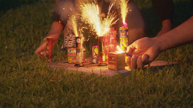 Fireworks Turn Dangerous In Dunedin