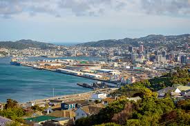Wellington rental market recovery expected – 16% increase in demand 
