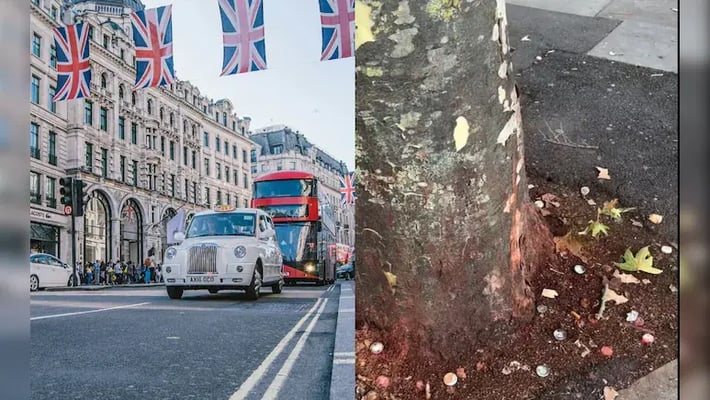 London Streets Painted Red By Paan, UK Council Battles Rs 35 Lakh Spit Crisis Chewing paan and gutka has become a costly problem in London. Stains have forced councils to spend over Rs 35 Lakhs annually on cleanup.