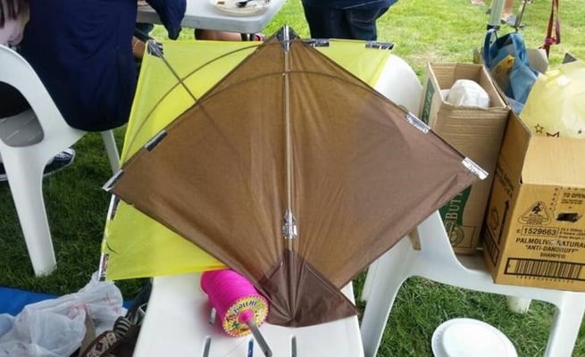 Kite Festival returns on Sunday, January 13