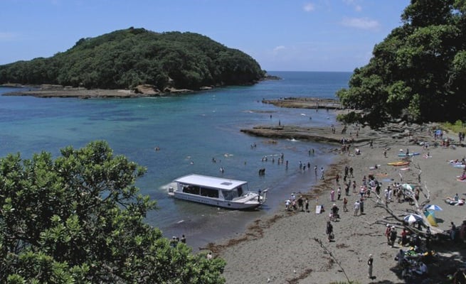 Goat Island drowning incident: Indian man feared dead