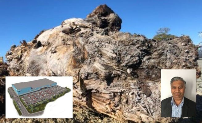Cache of Swamp Kauri unearthed at Auckland construction site