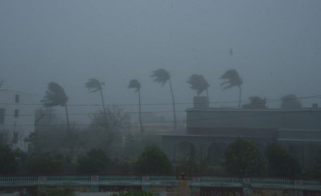 Cyclone Fani uproots trees, triggers heavy rains in Bengal & Odisha in India