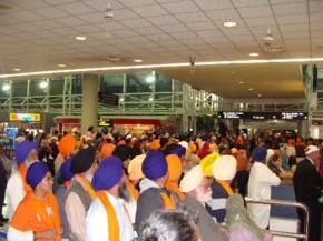 Thirty-One Saroop of Guru Granth Sahib Arrive in NZ