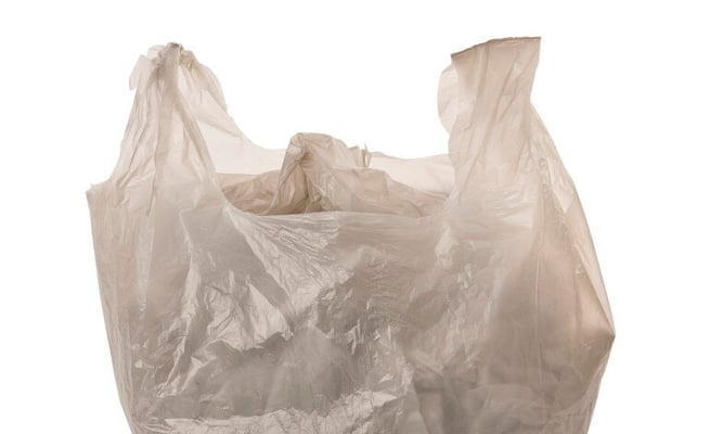Single use plastic ban: Starting a culture shift within New Zealand