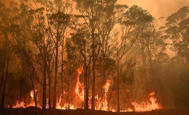 Australia fires: Mega-fire will form when huge blaze in Victoria joins up with fires over border, authorities say