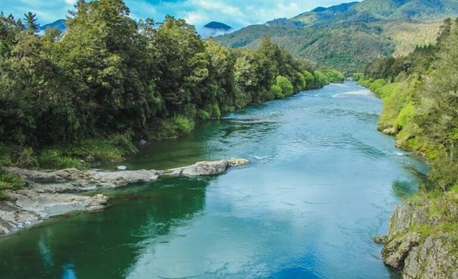 Farmers welcome freshwater reforms but enviromentalists, iwi want more