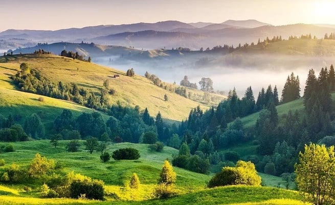 The connection with nature